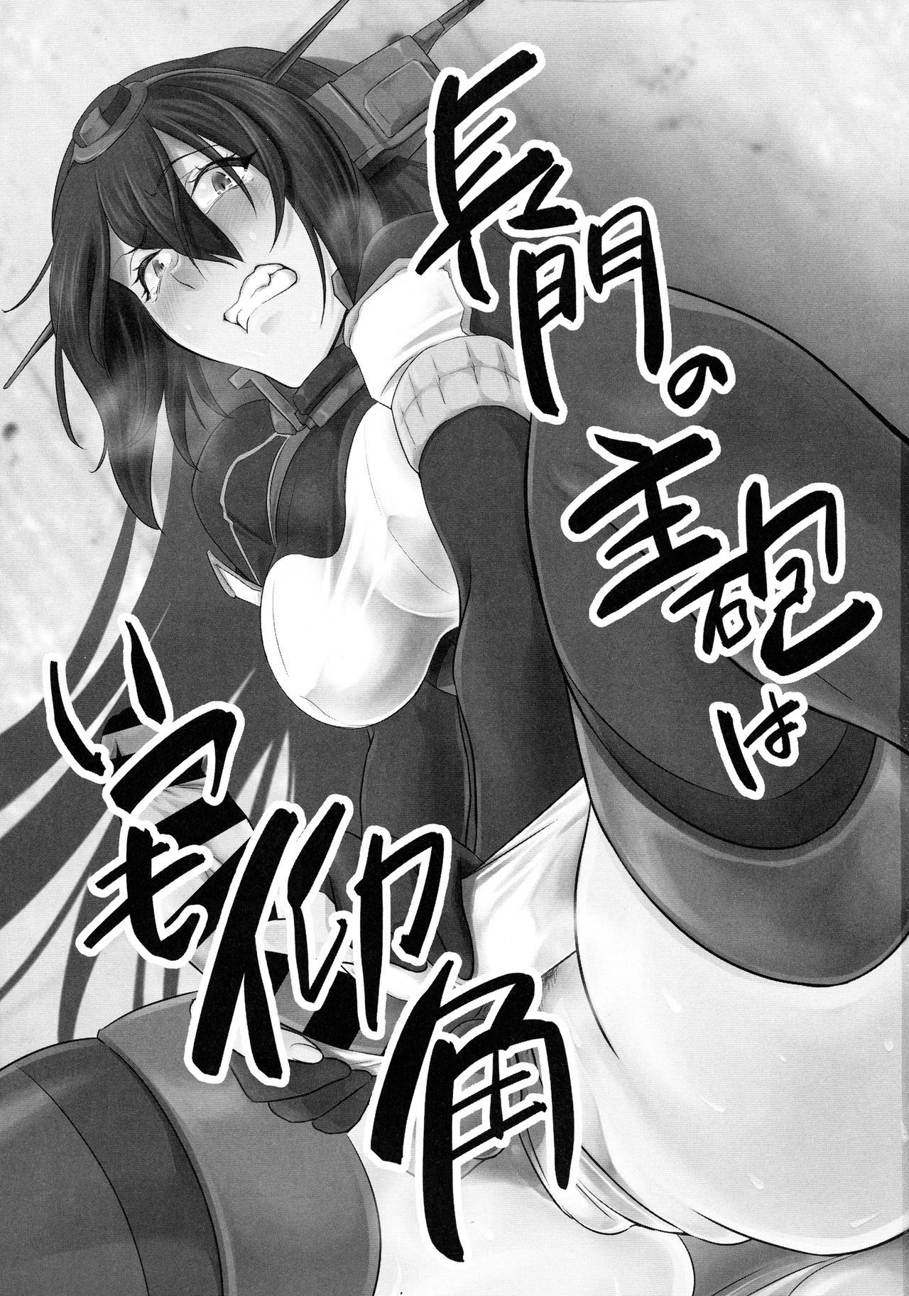 Nagato no Shuhou wa Itsumo Gyoukaku Страница 2