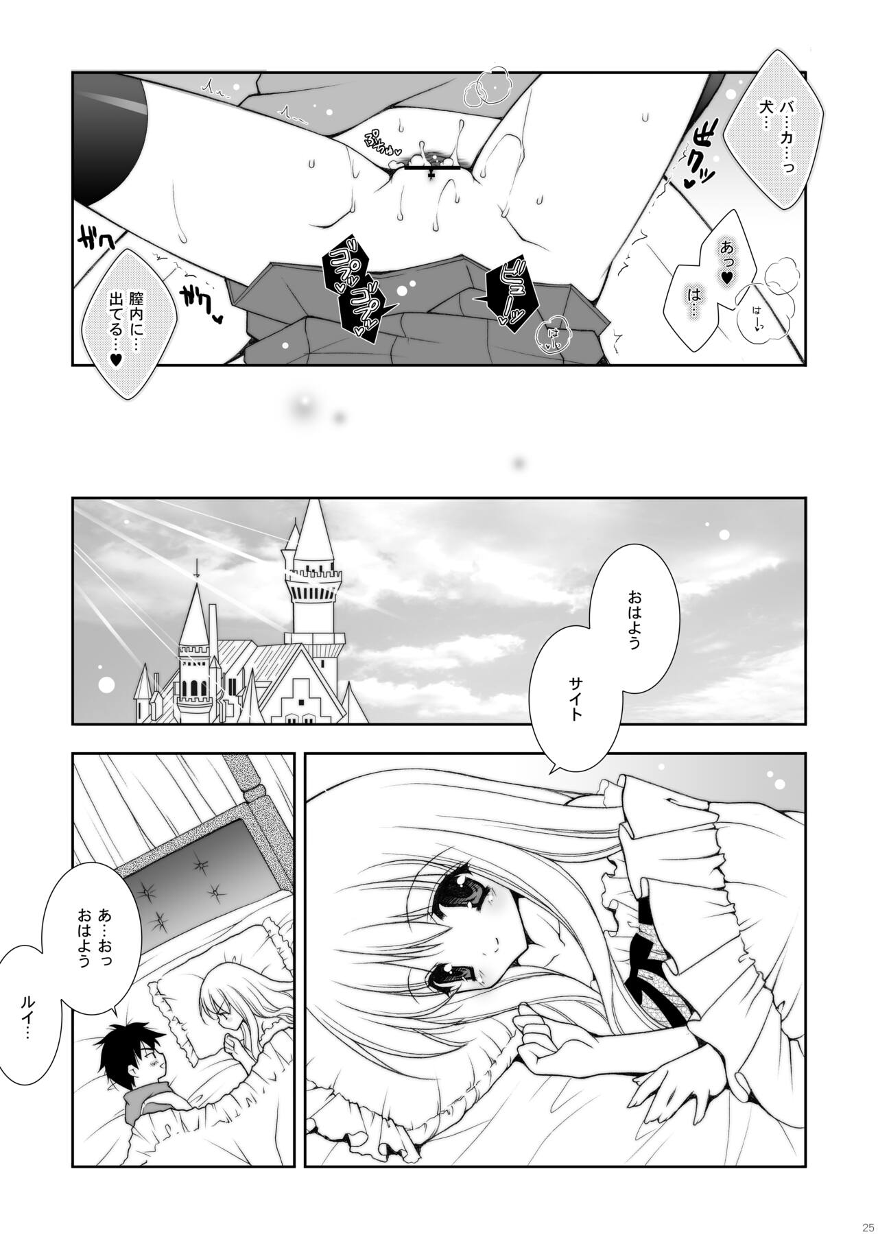 Zero no Tsukaima Soushuuhen Страница 25