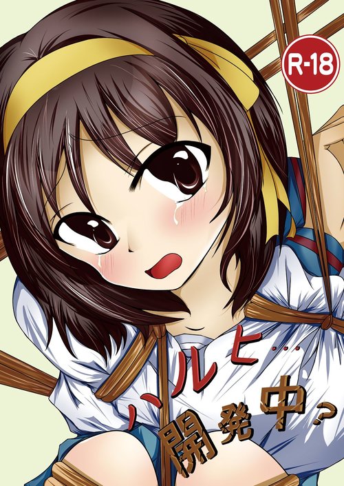 Haruhi... Kaihatsuchuu?