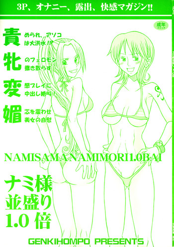 Namimori 1.0-Bai