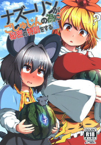 Nazrin ga Goshujin no Tame ni Himitsu no Tokkun o Suru Hanashi