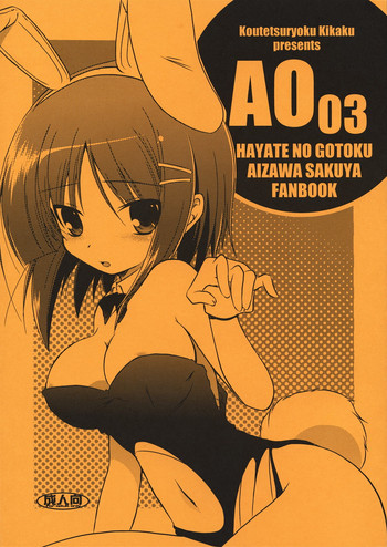 AO03