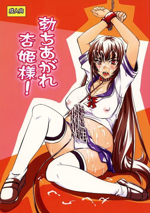 Tachiagare Kyouhime-sama!