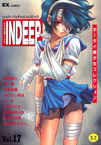 INDEEP Vol.17