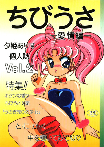 Chibiusa Aijouhen