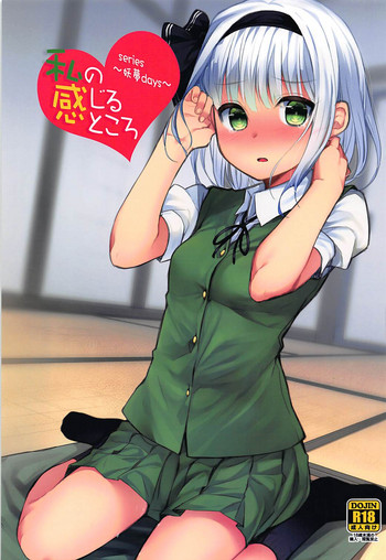 Youmu Days