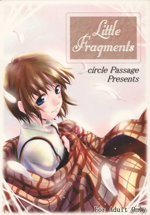 Little Fragments