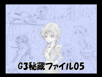 G3 Hizou File 05