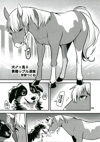 犬♂×馬♀