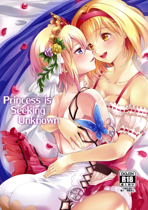 Princess is Seeking Unknown