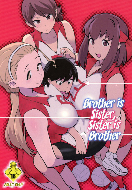 Ani ga Watashi de Watashi ga Ani de | Brother is Sister, Sister is Brother