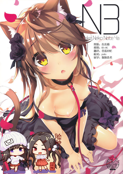 Neko Neko Note 4a