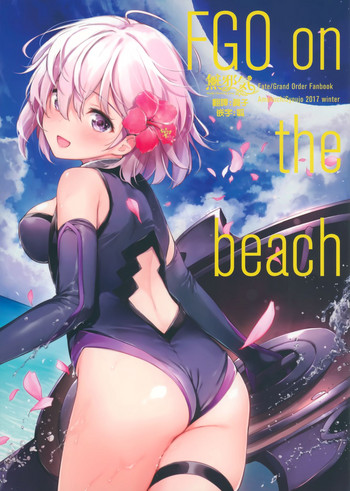 FGO on the beach