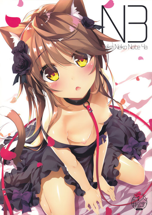 Neko Neko Note 4a