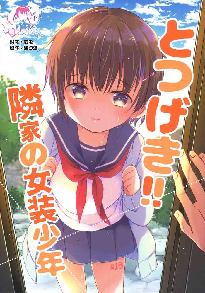 Totsugeki! Rinka no Josou Shounen