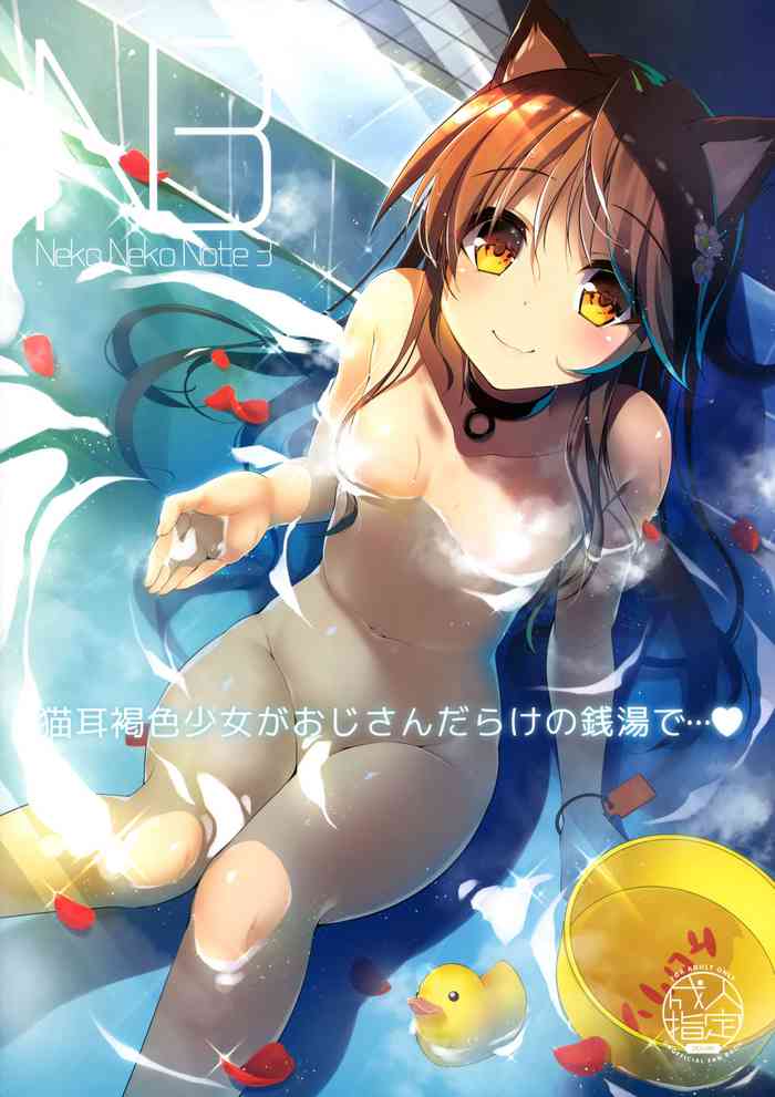 Neko Neko Note 3