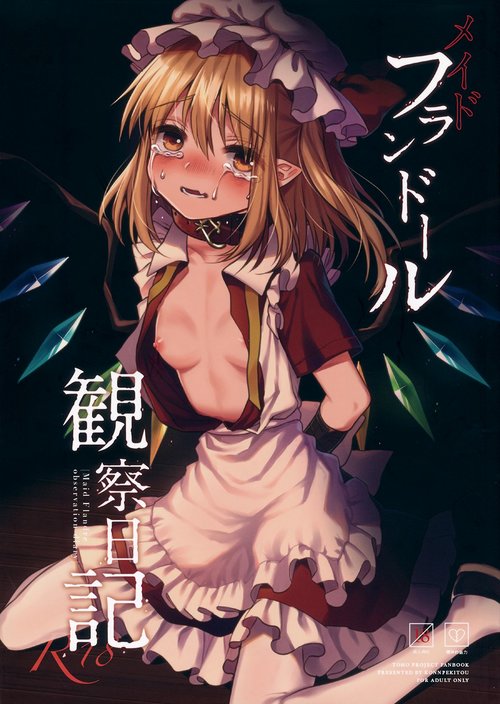 Maid Flandre Kansatsu Nikki - Maid Flandre observation diary