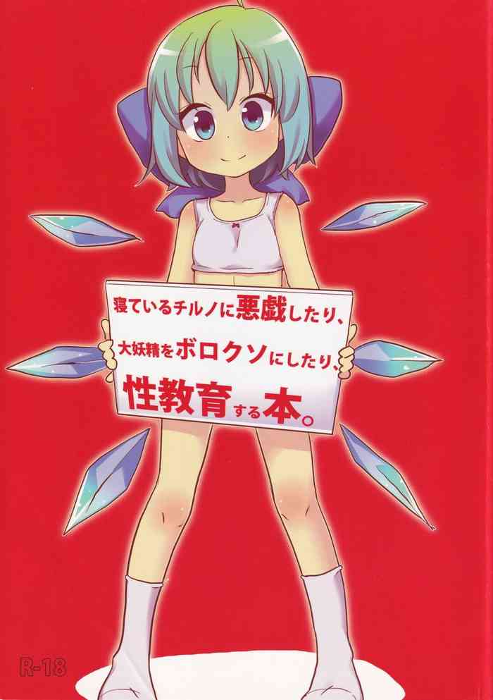 Neteiru Cirno ni Itazura Shitari Daiyousei wo Borokuso ni Shitari Seikyouiku Suru Hon.