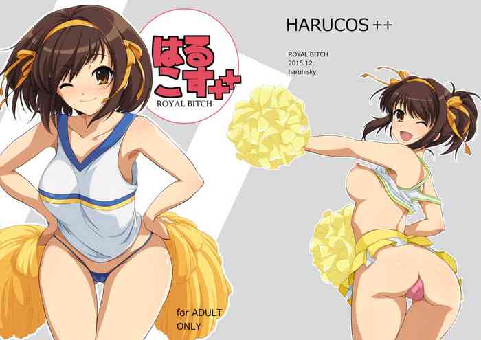 HARUCOS++