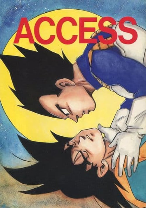 ACCESS