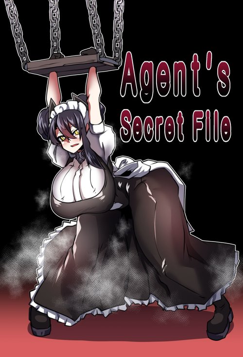 Agent's Secret File