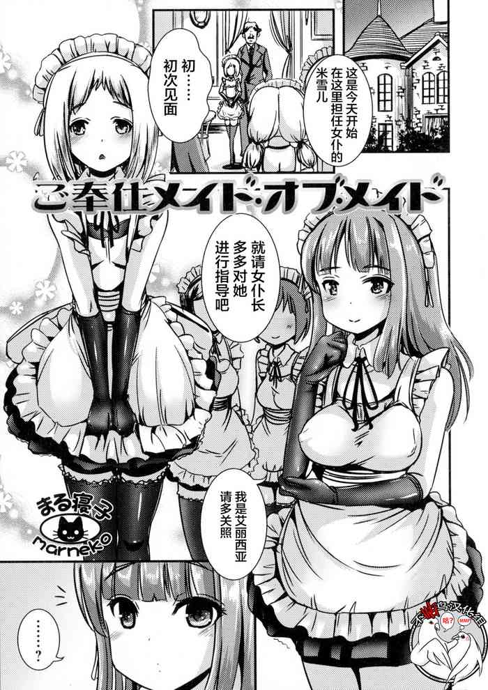 Gohoushi Maid of Maid