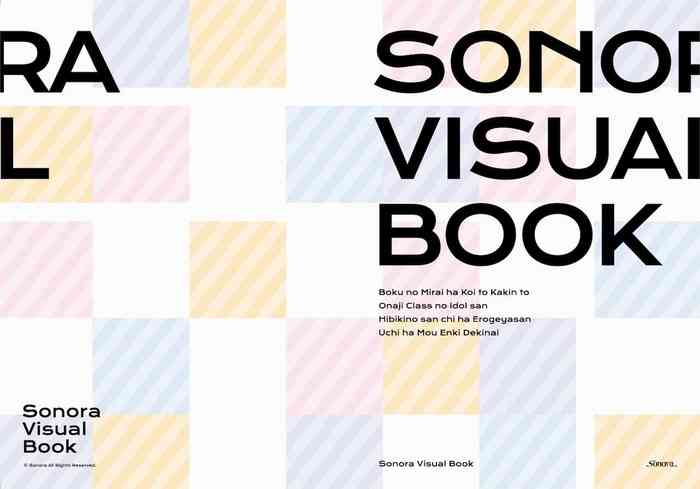 Sonora Visual Book