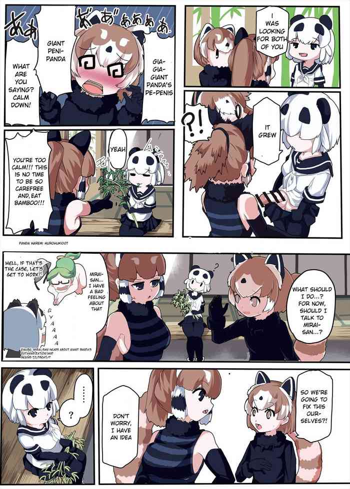 Panda Harem