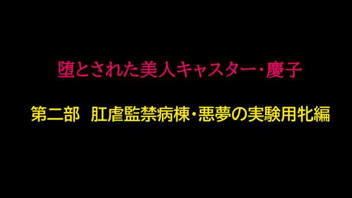 堕とされた美人キャスター・慶子 第二部 肛虐監禁病棟・悪夢の実験用牝編