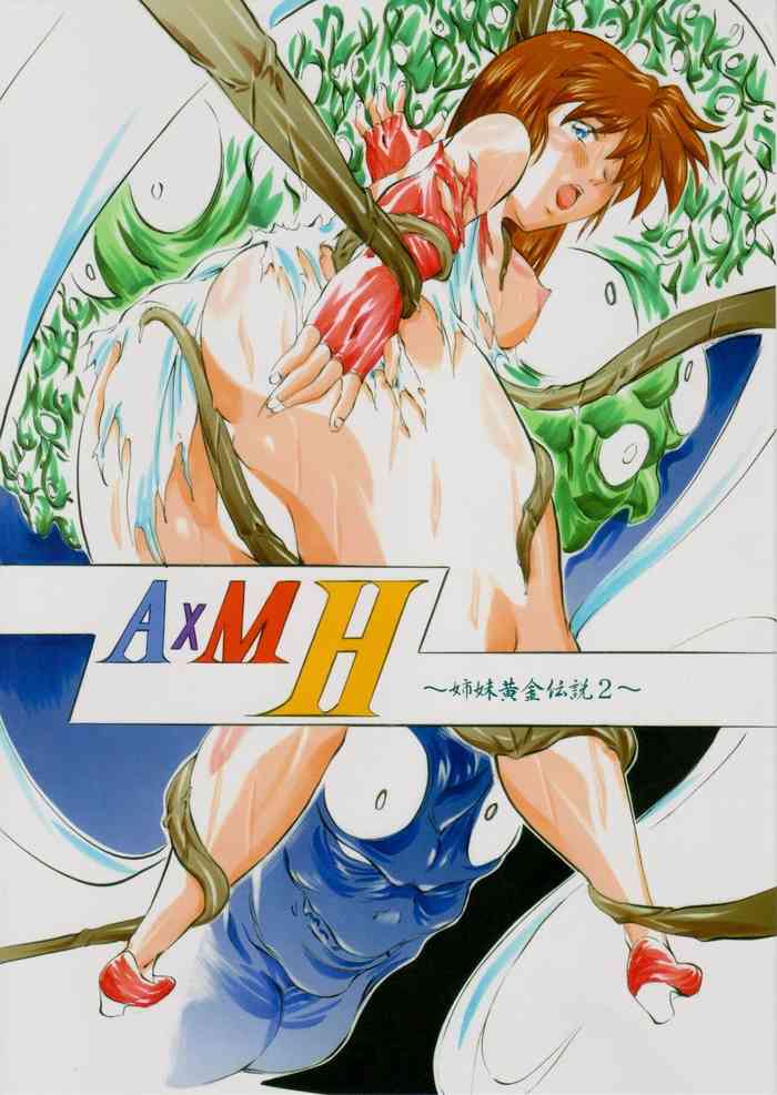 A＆M H～姉妹黄金伝説・2～