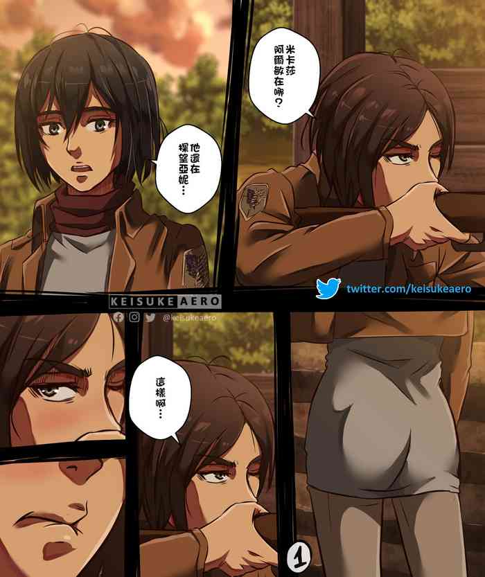 Eren x Mikasa