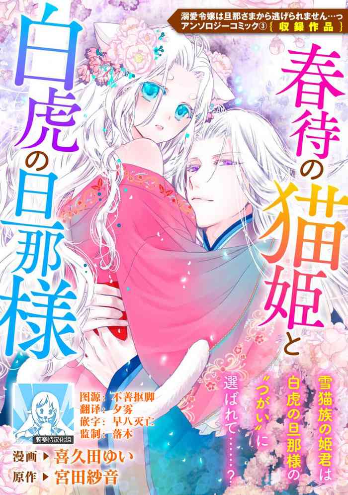 Haru machi no neko hime to byakko no dan'na-sama | 待春的猫公主与白虎的夫君