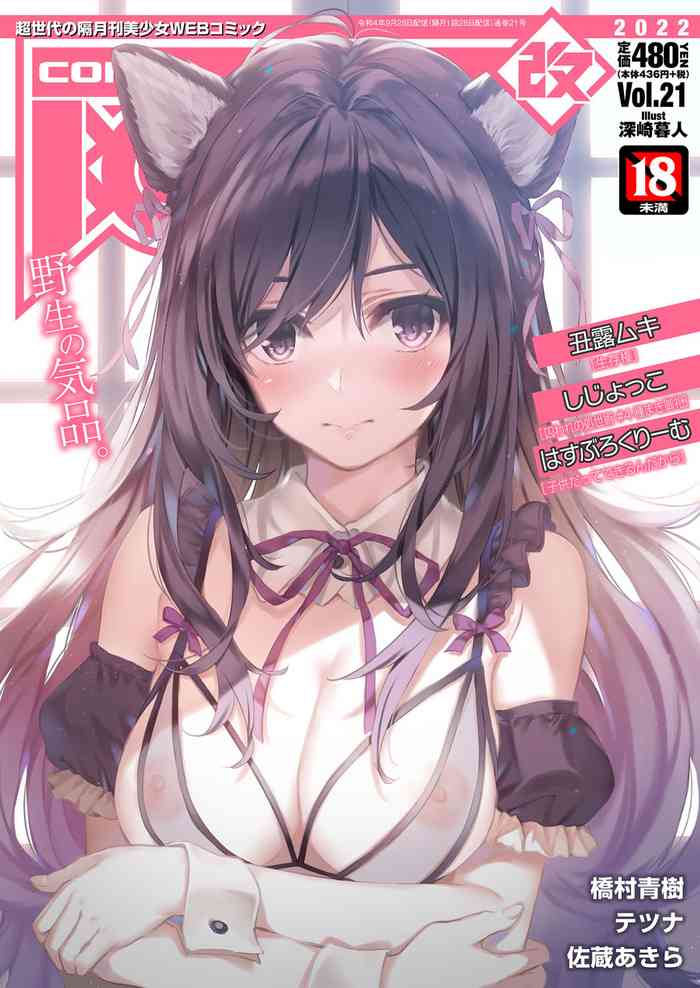 COMIC AUN Kai Vol.21