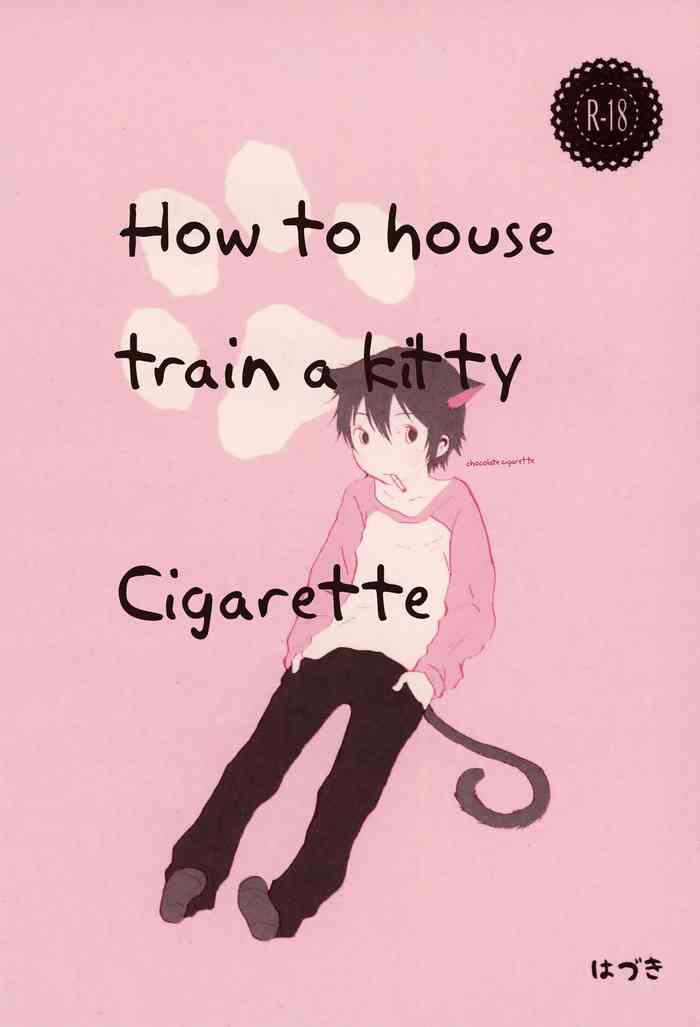 Heya o Yogosu Neko no Shitsukekata Cigarette | How to house train a kitty + Cigarette