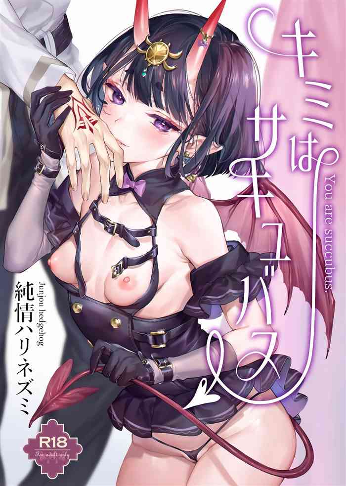 Kimi wa Succubus