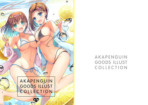 AKAPENGUIN GOODS ILLUST COLLECTION