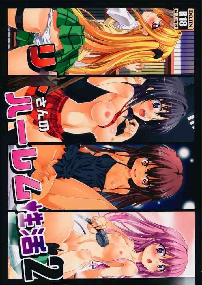 Rito-san no Harem Seikatsu 2