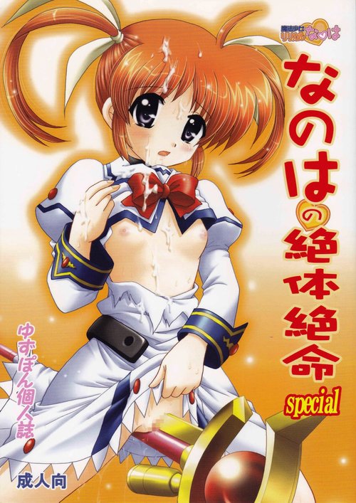 Nanoha no Zettai Zetsumei Special