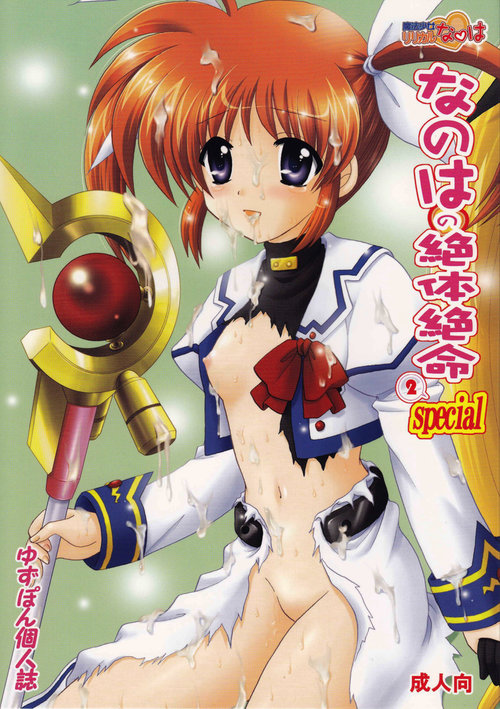 Nanoha no Zettai Zetsumei Special 2