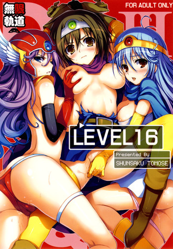 Level 16