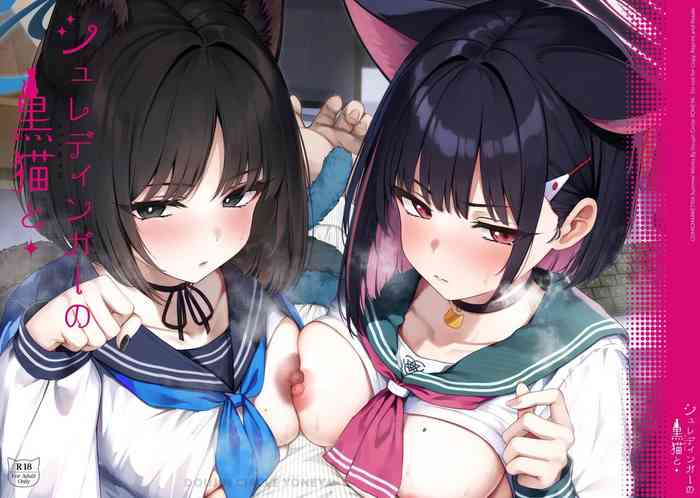 Schrödinger no Kuroneko to 2 | 与薛定谔的黑猫一起2