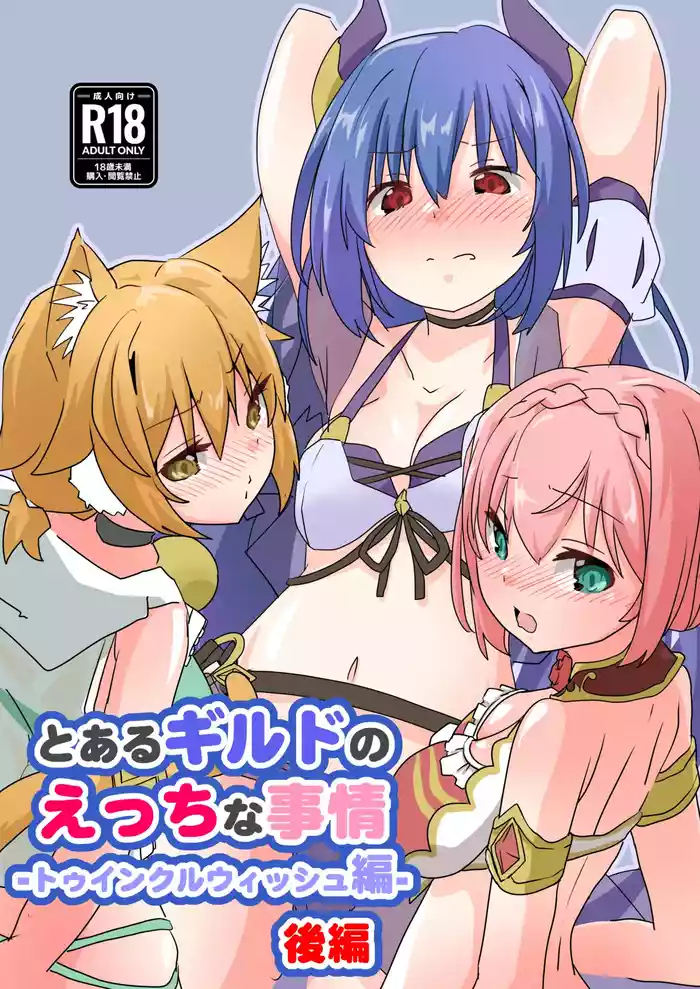 Toaru Guild no Ecchi na Jijouhen - Kouhen