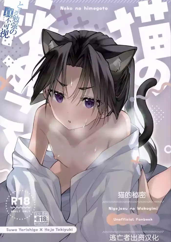 Neko no Himegoto