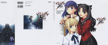 Fate/stay night Premium FanBook