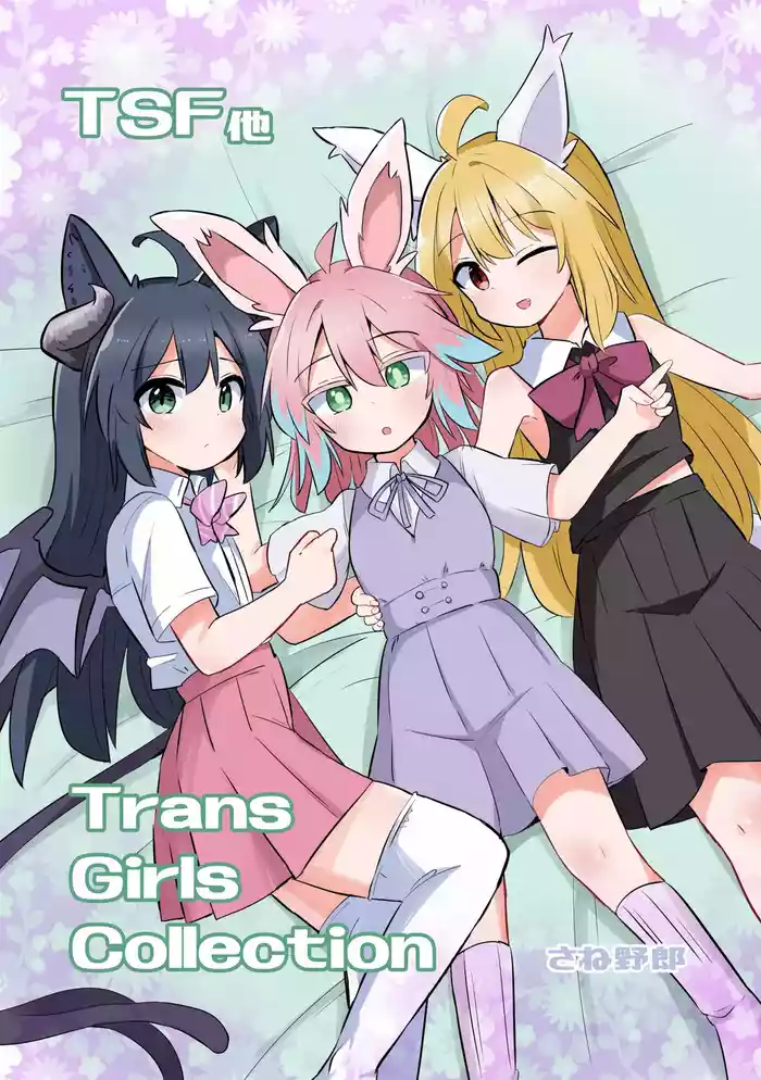 Trans Girls Collection