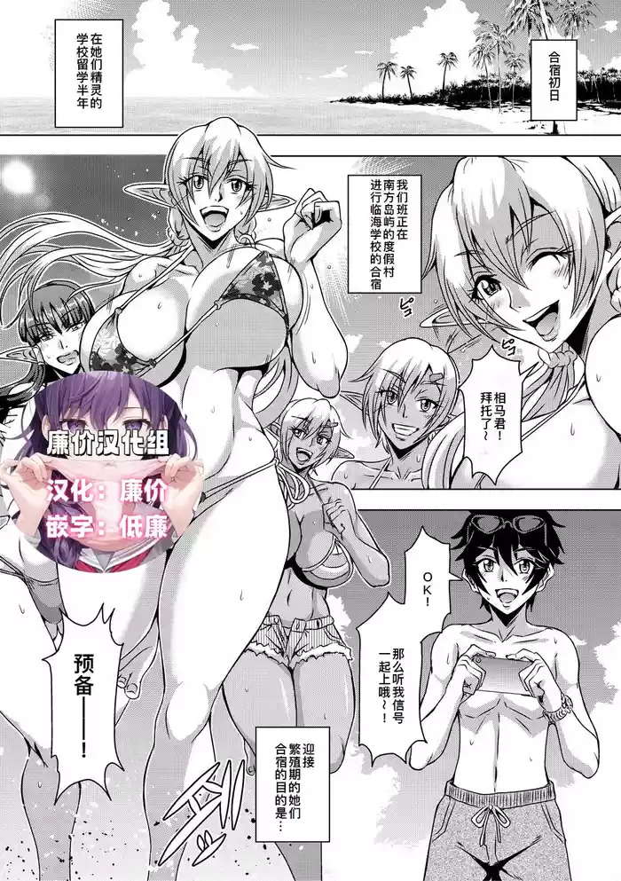 エルフハーレムアカデミア合宿編