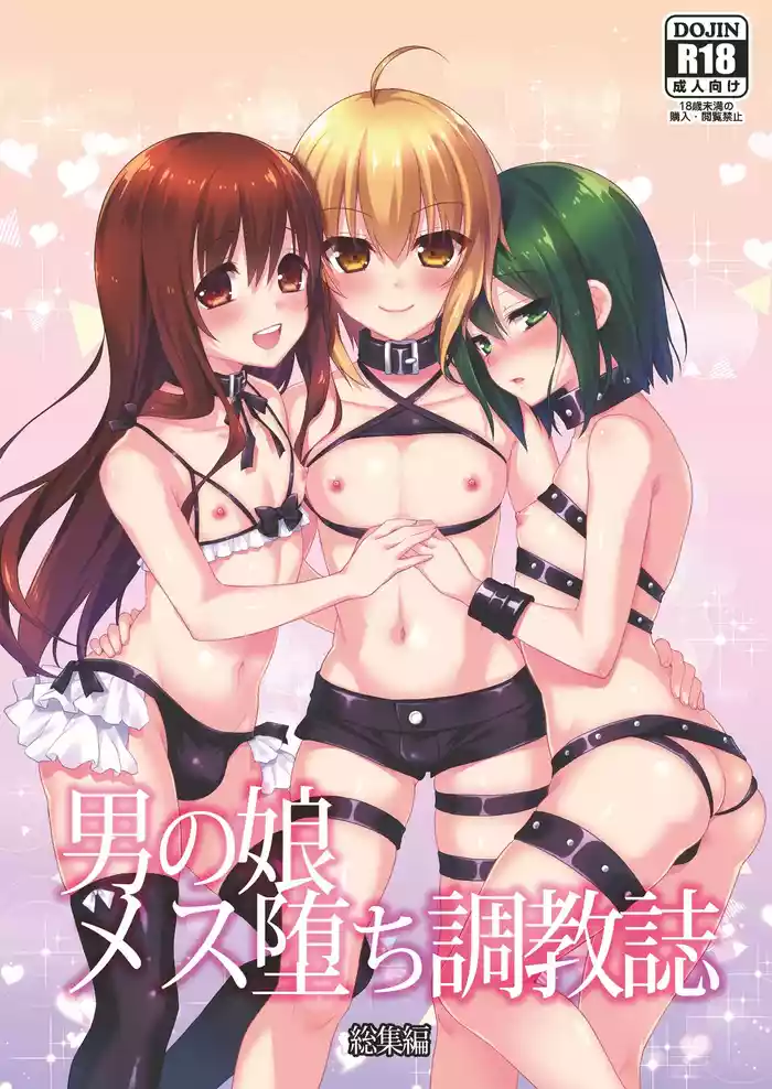Otokonoko Mesuochi Choukyoushi Soushuuhen