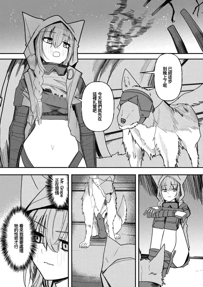 Wolf and Provence