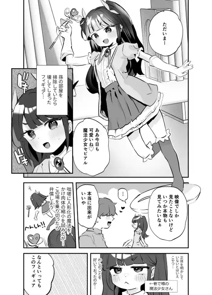 Mahou Shoujoni Ningyou-ka de Suki Houdai Manga