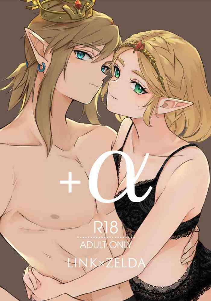 +α [The Legend of Zelda)